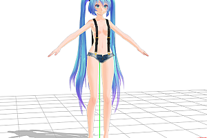 《MMD资源库》 Miku(里)
