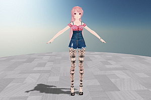MMD模型私服巡音模型下载