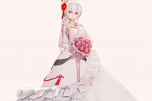 MMD模型下载 TDA NYW Haku